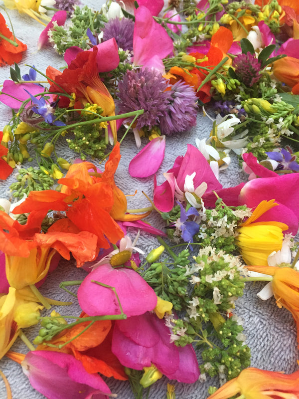 Edible Flowers (Assorted)